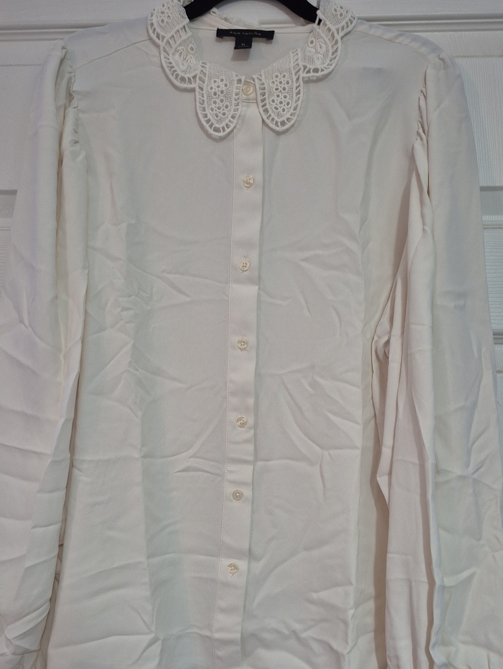 Ann Taylor Ivory Eyelet Collar Button-Down Shirt